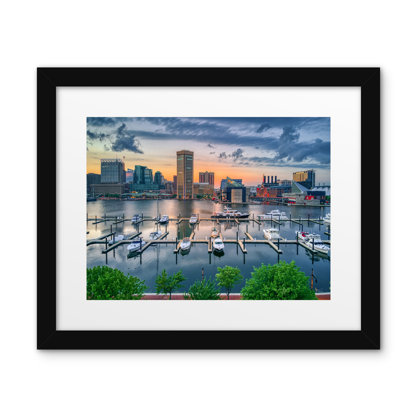 Baltimore Inner Harbor Skyline