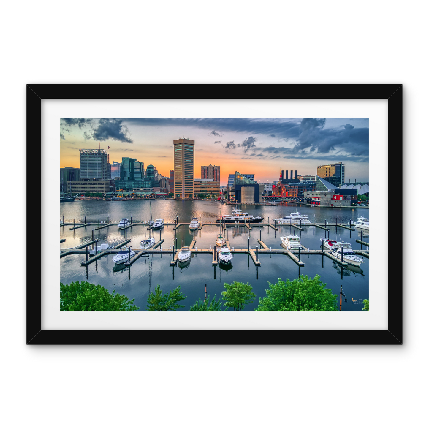 Baltimore Inner Harbor Skyline