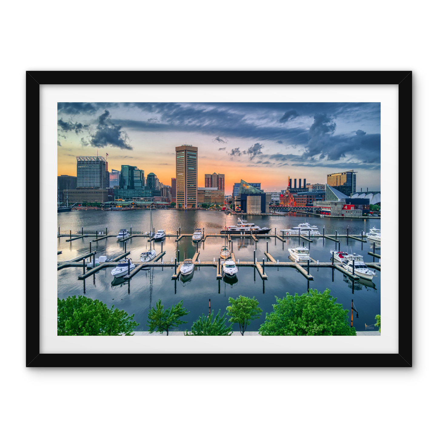 Baltimore Inner Harbor Skyline