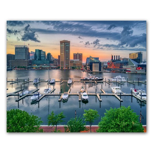 Baltimore Inner Harbor Skyline