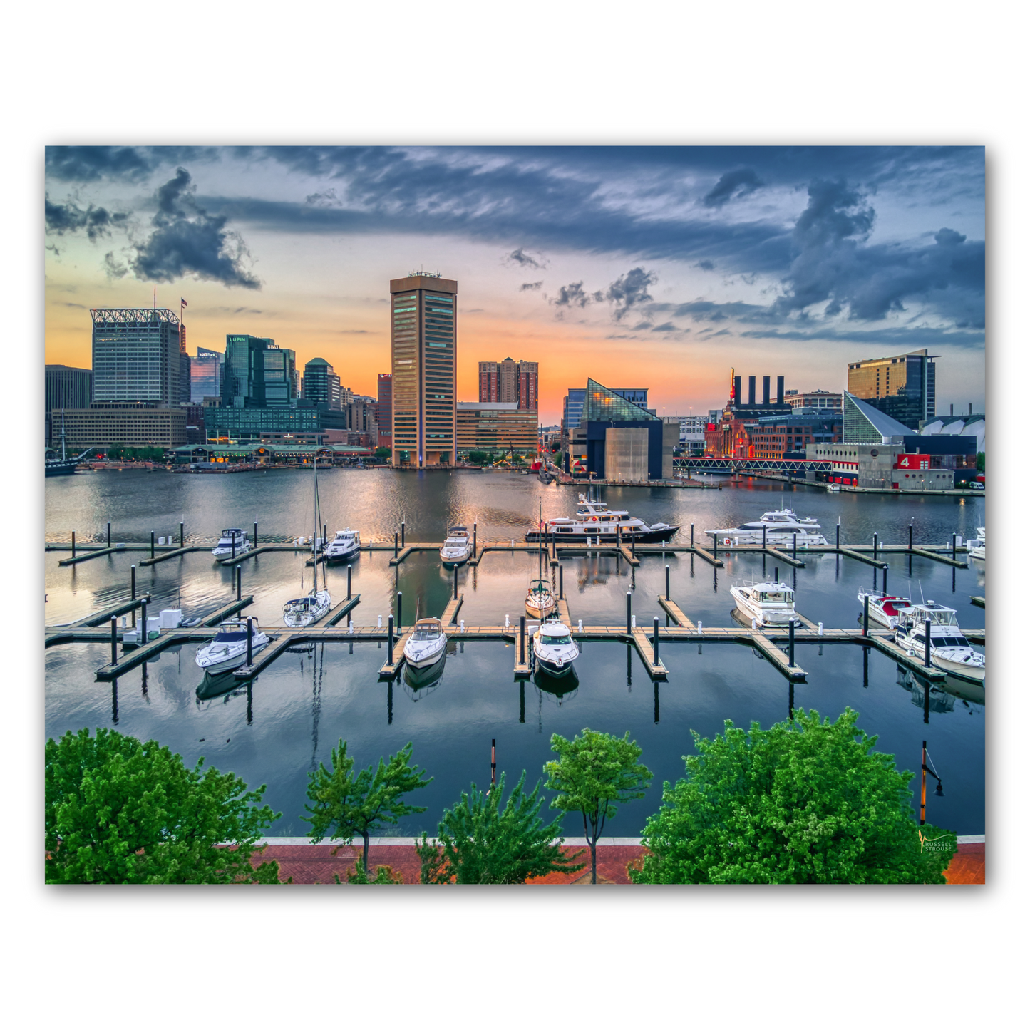 Baltimore Inner Harbor Skyline