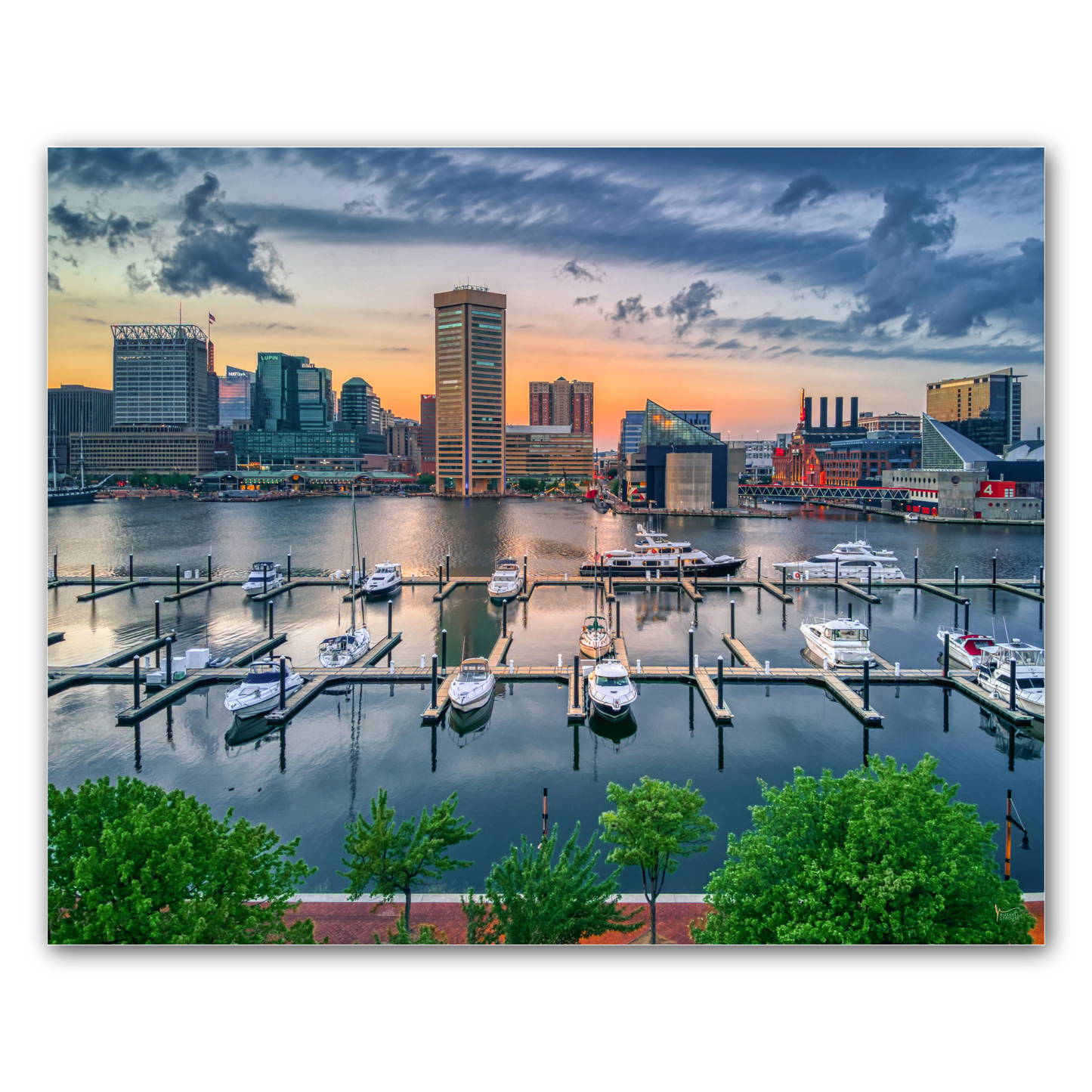 Baltimore Inner Harbor Skyline