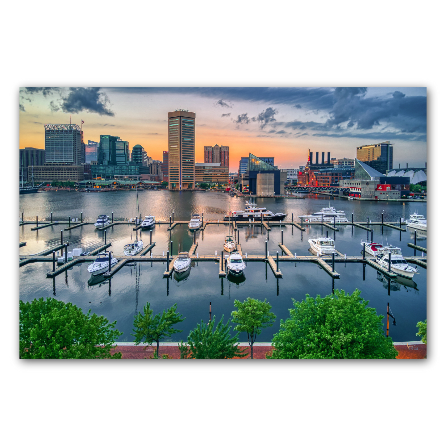 Baltimore Inner Harbor Skyline
