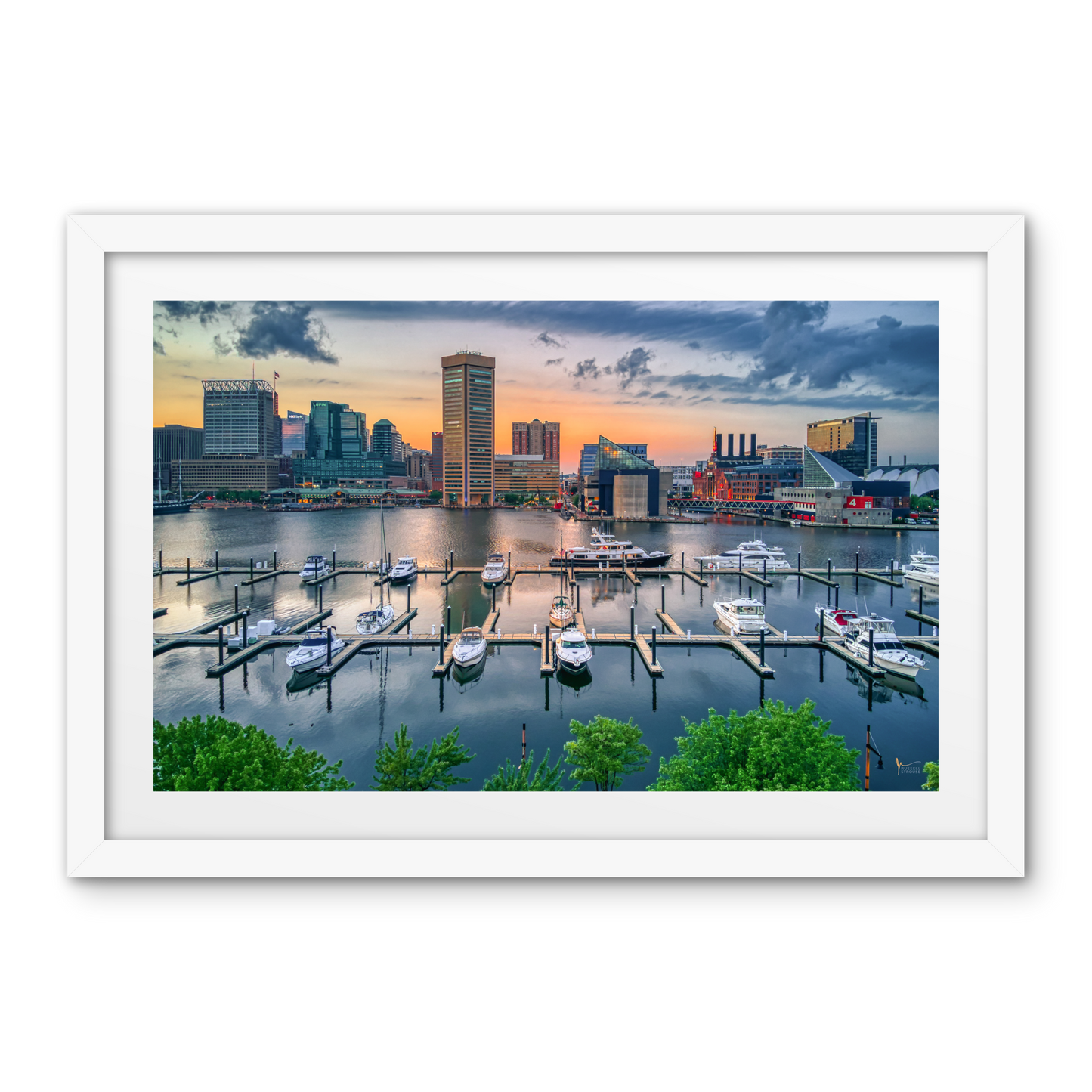 Baltimore Inner Harbor Skyline