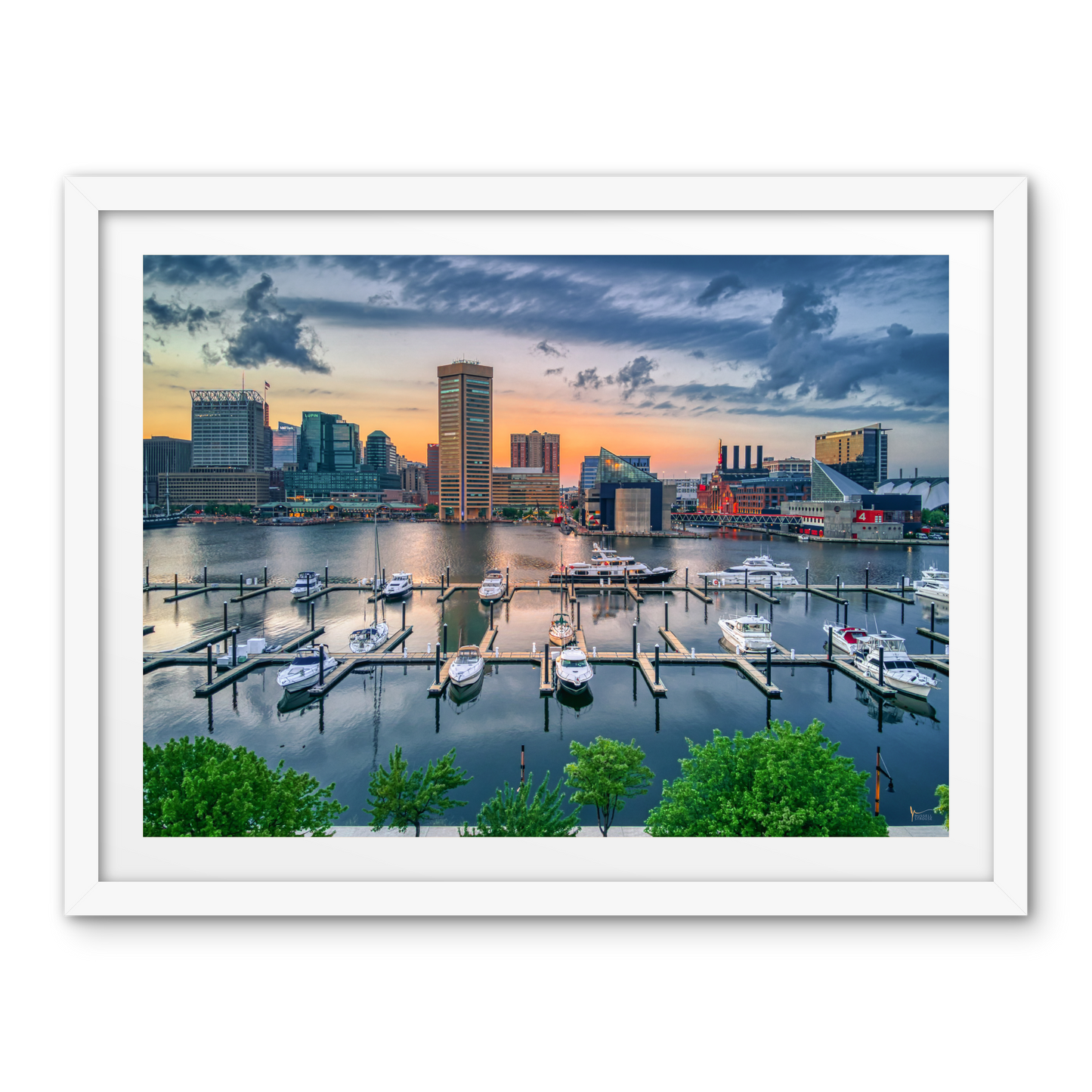 Baltimore Inner Harbor Skyline
