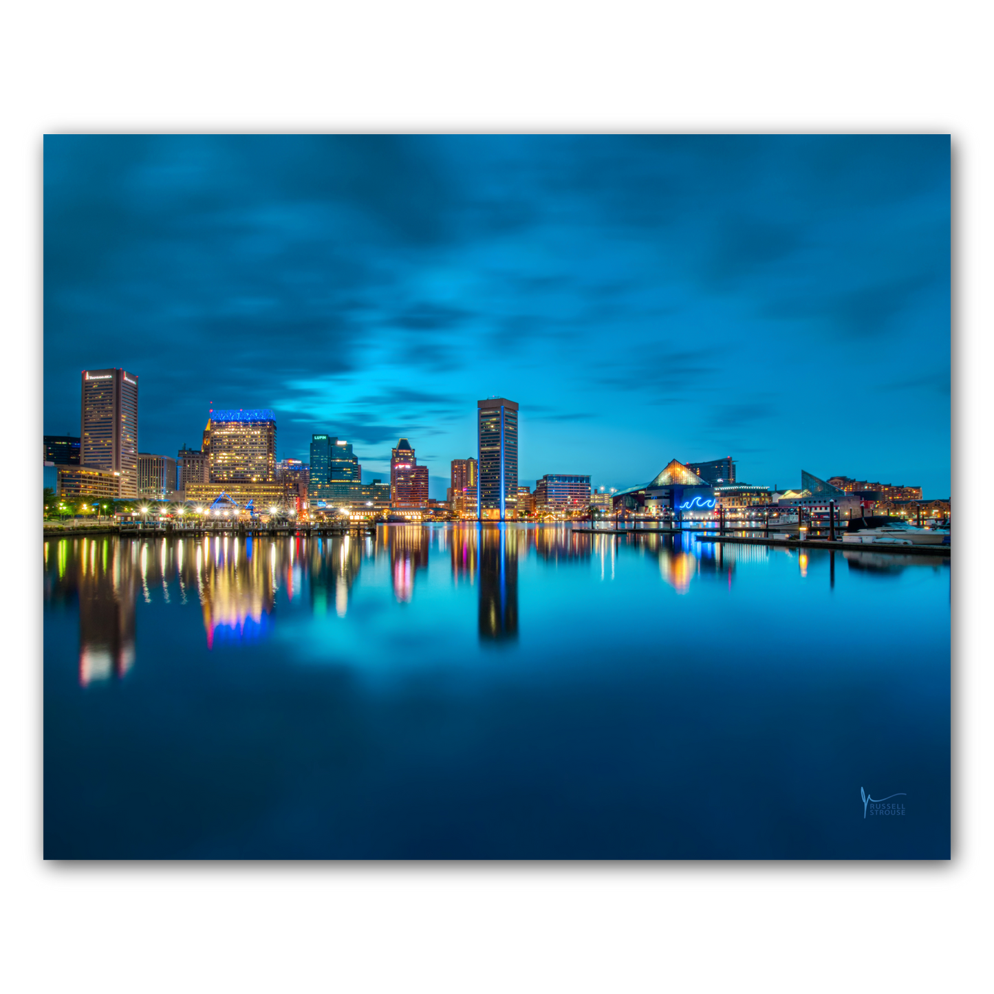 Blue Baltimore