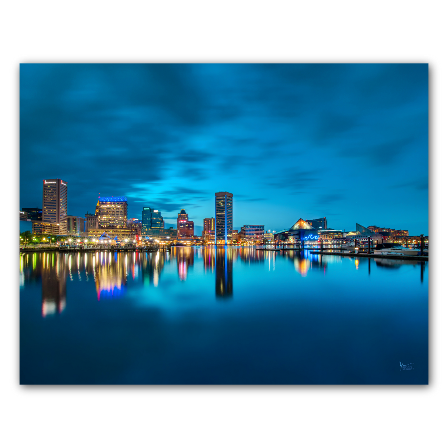 Blue Baltimore