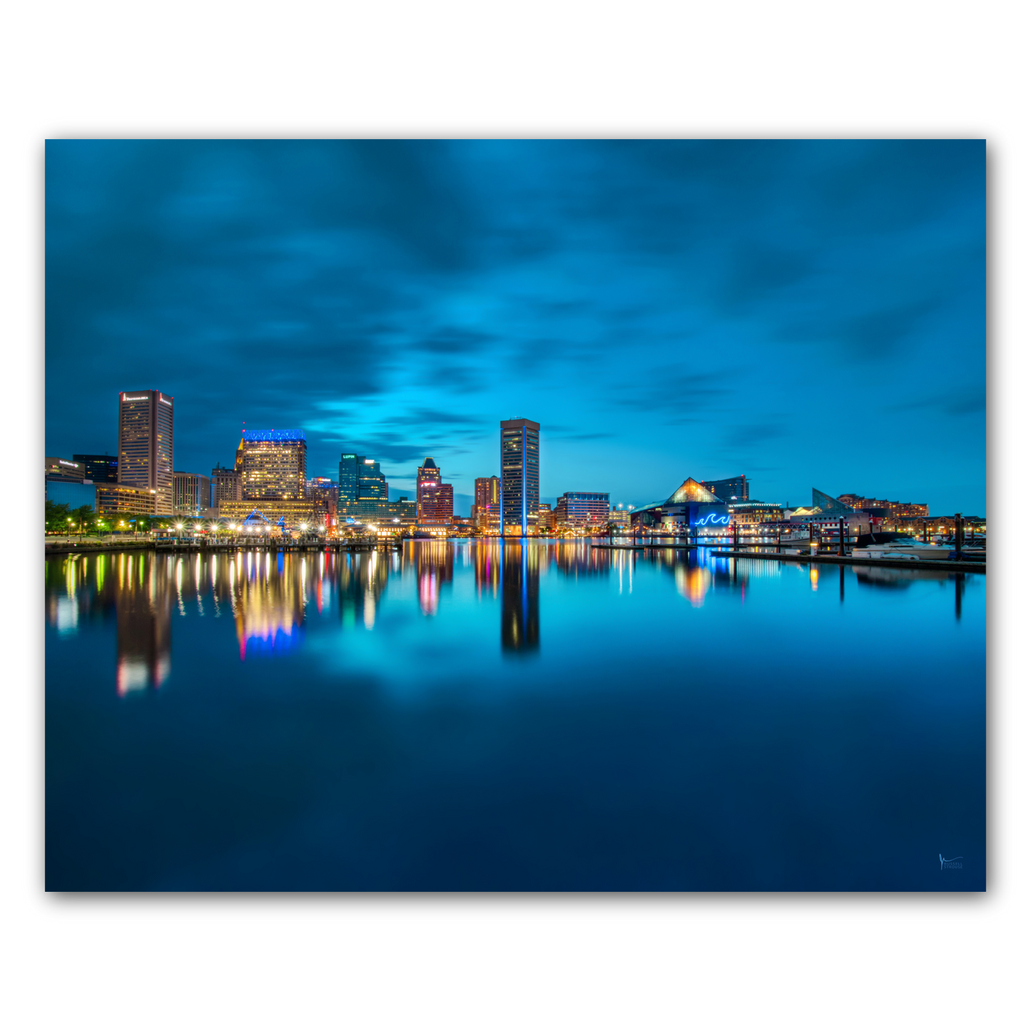 Blue Baltimore