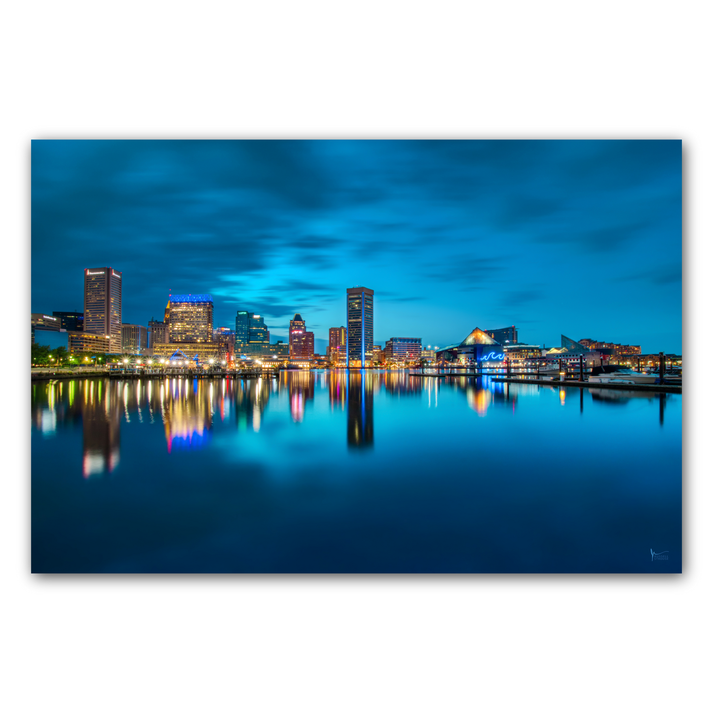 Blue Baltimore