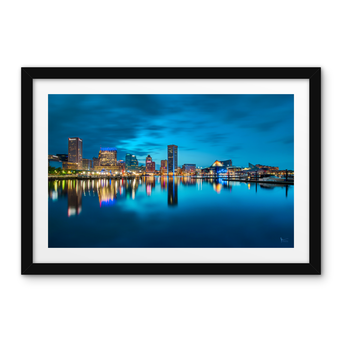 Blue Baltimore