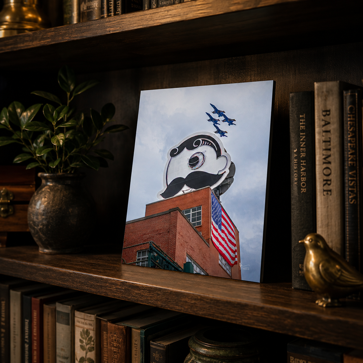 Natty Boh Blue Angels Flyover 8x10 Print