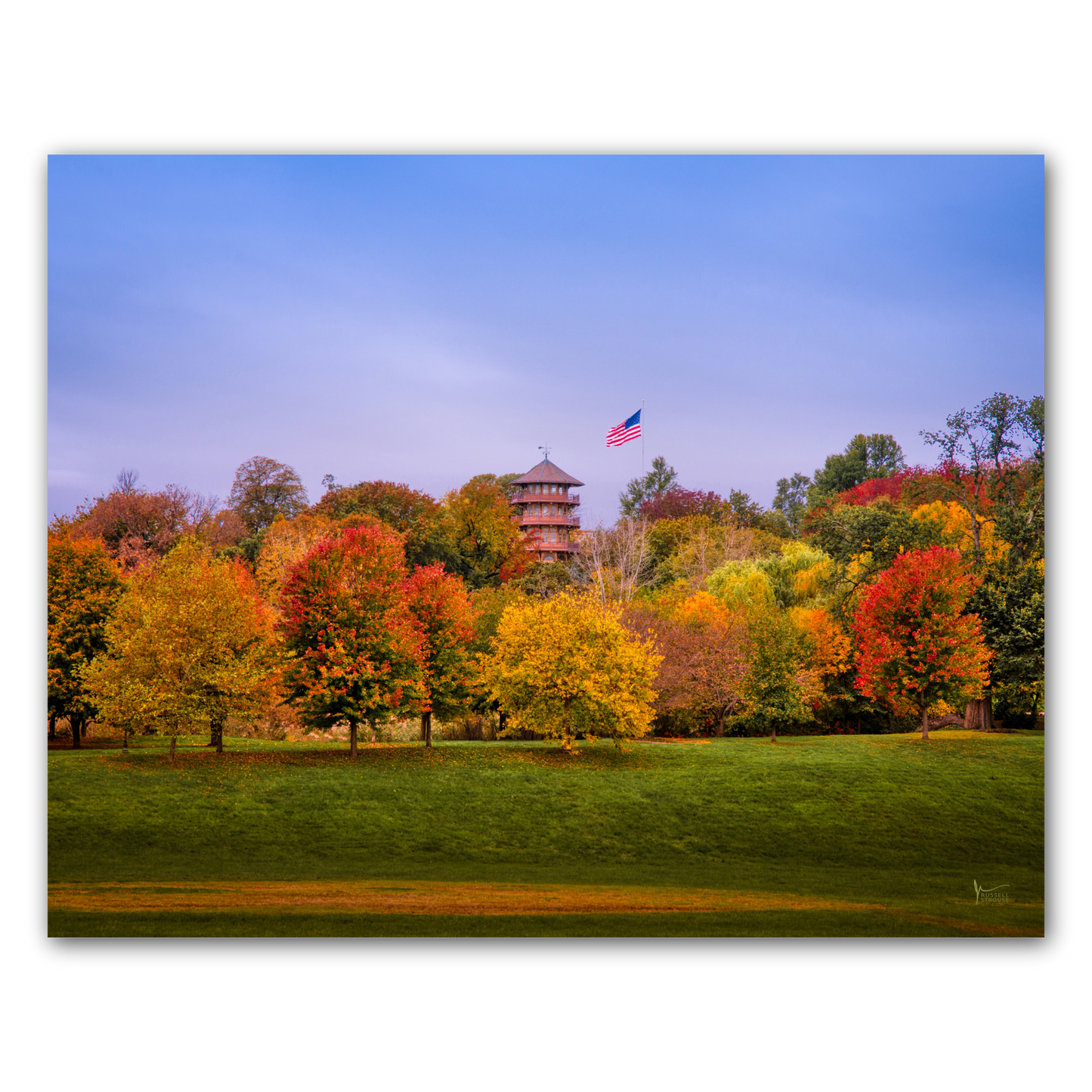 Patterson Park Fall Colors