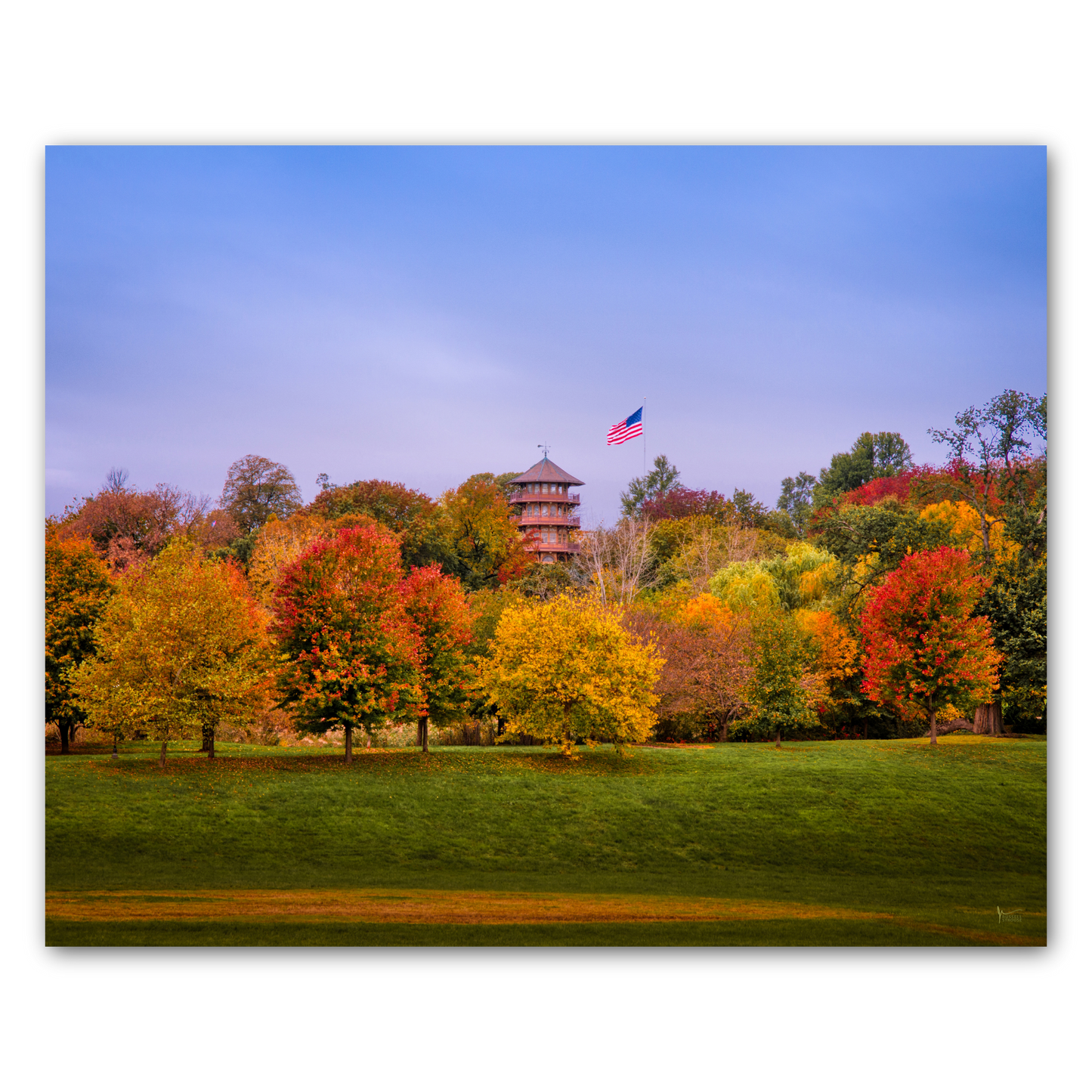 Patterson Park Fall Colors