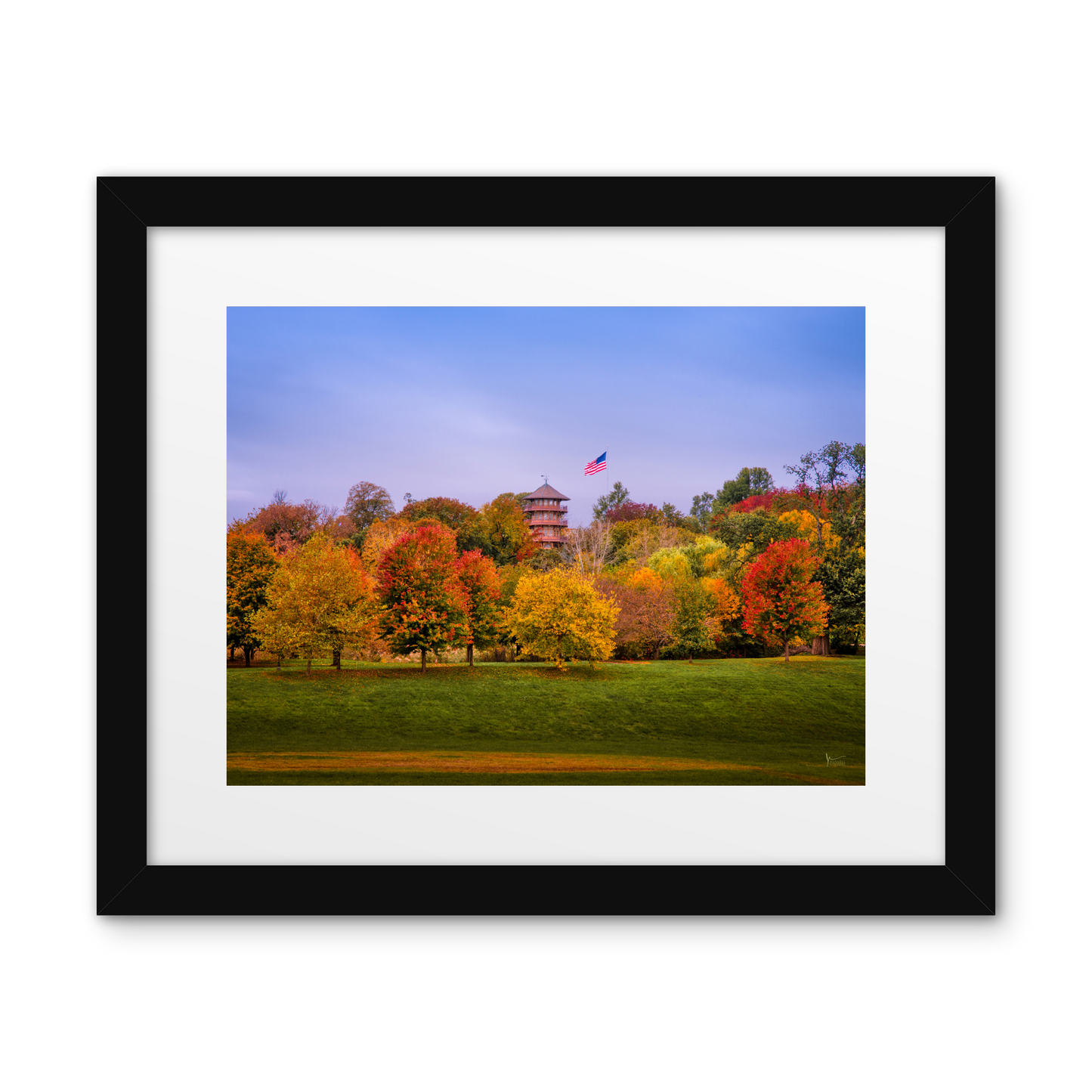 Patterson Park Fall Colors