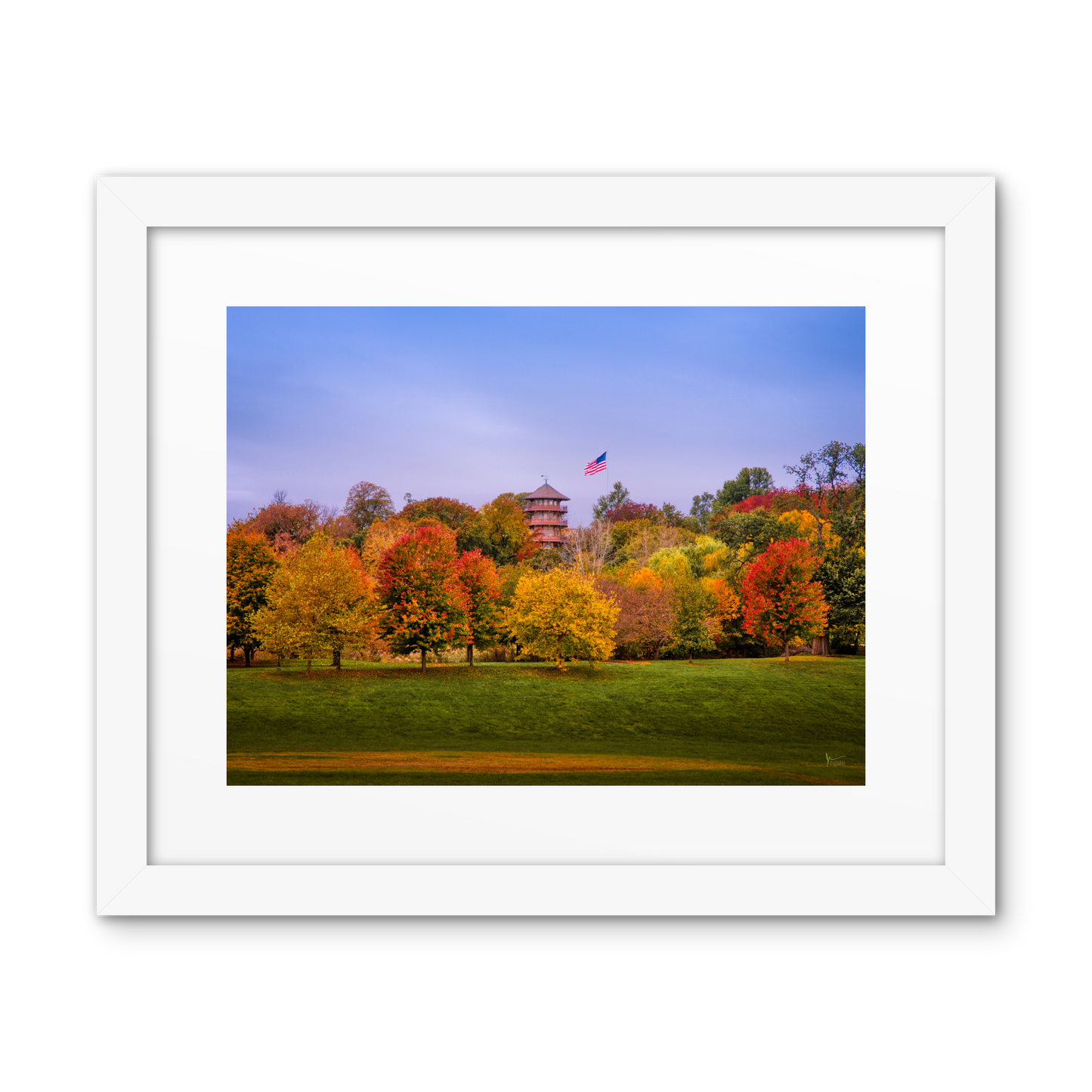Patterson Park Fall Colors