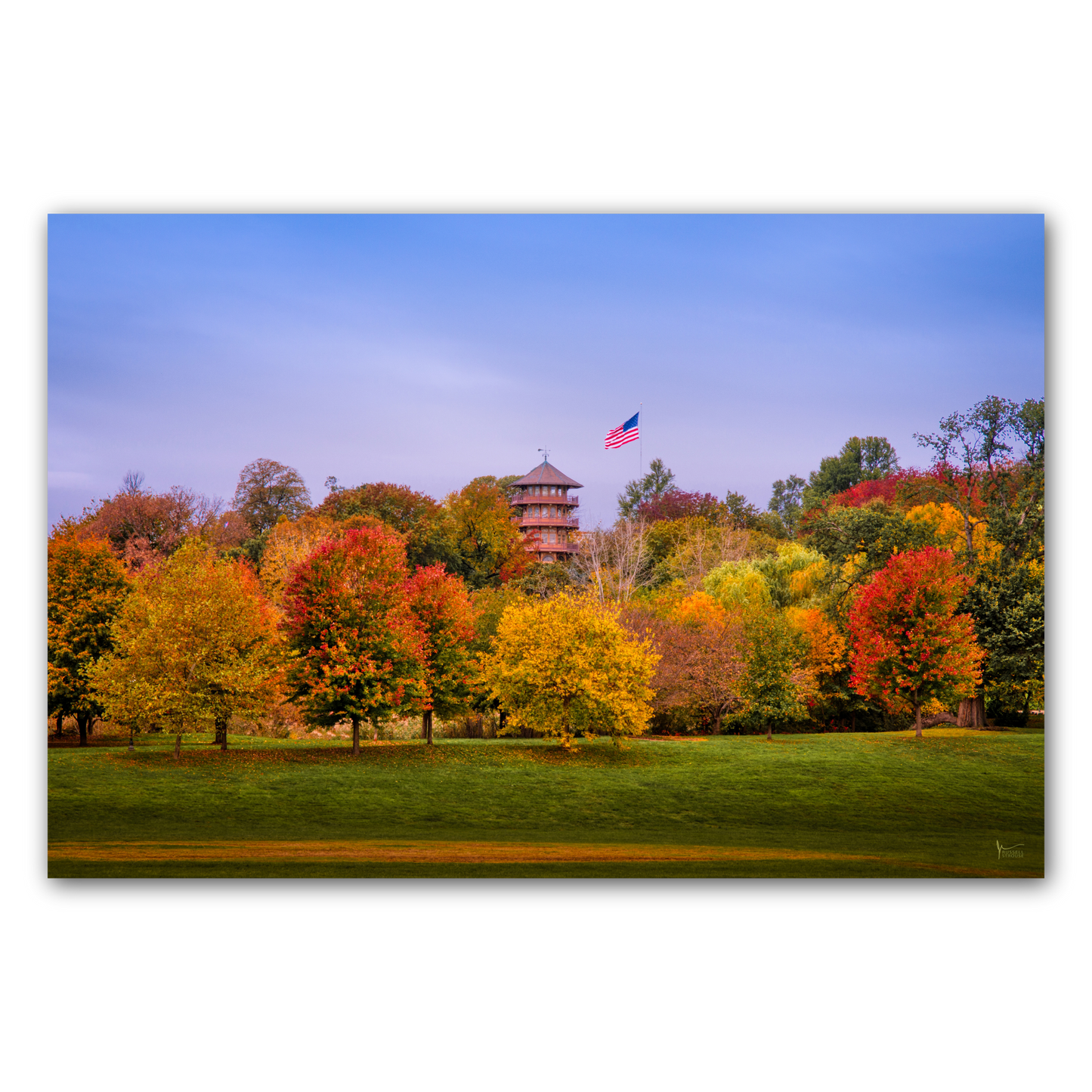 Patterson Park Fall Colors