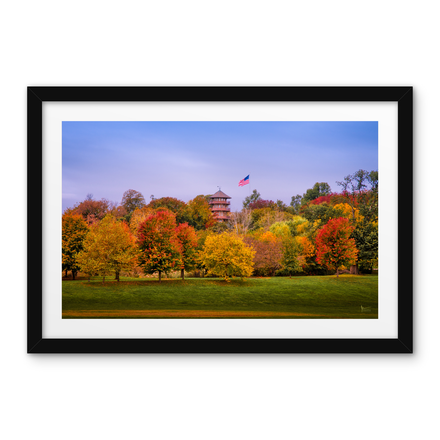 Patterson Park Fall Colors