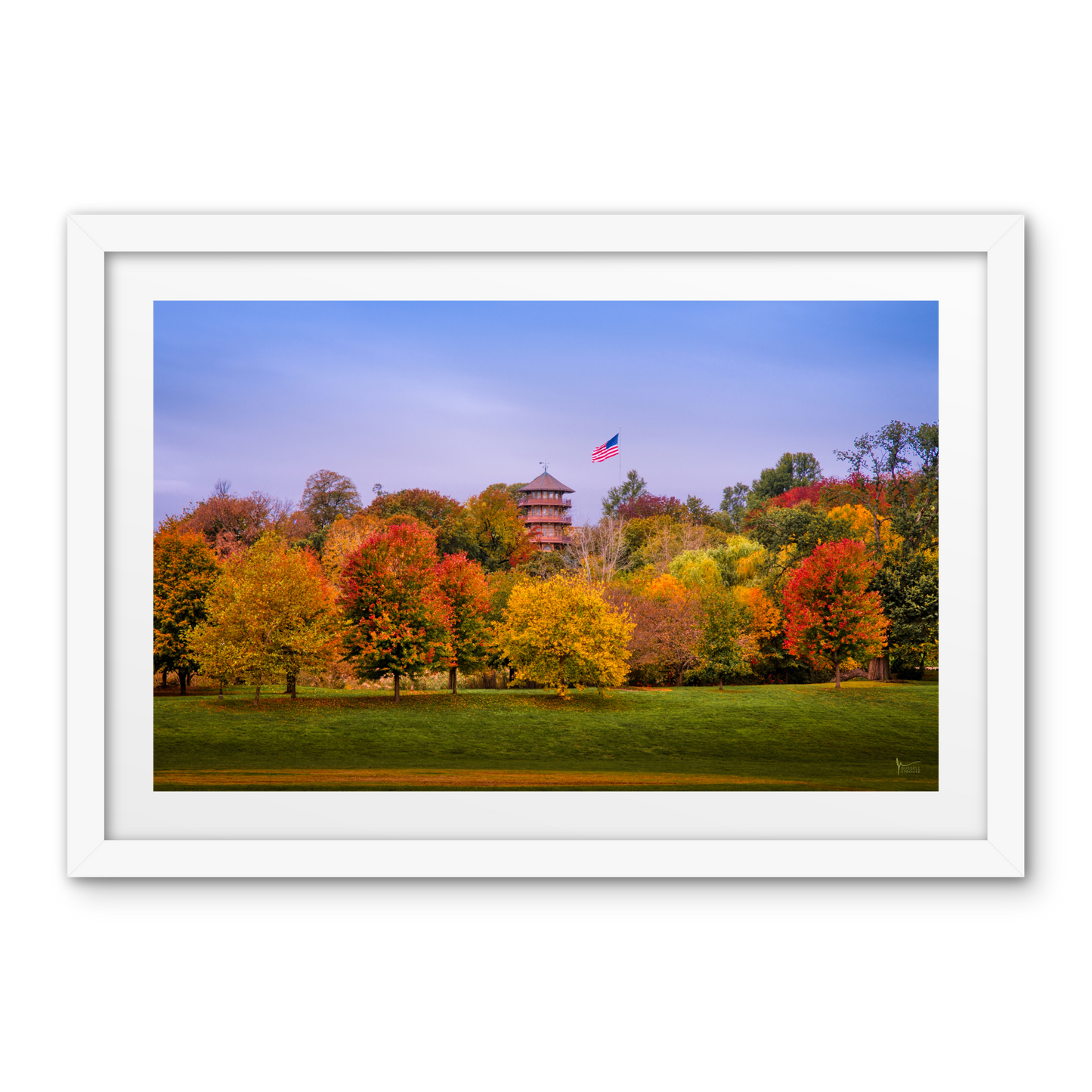 Patterson Park Fall Colors