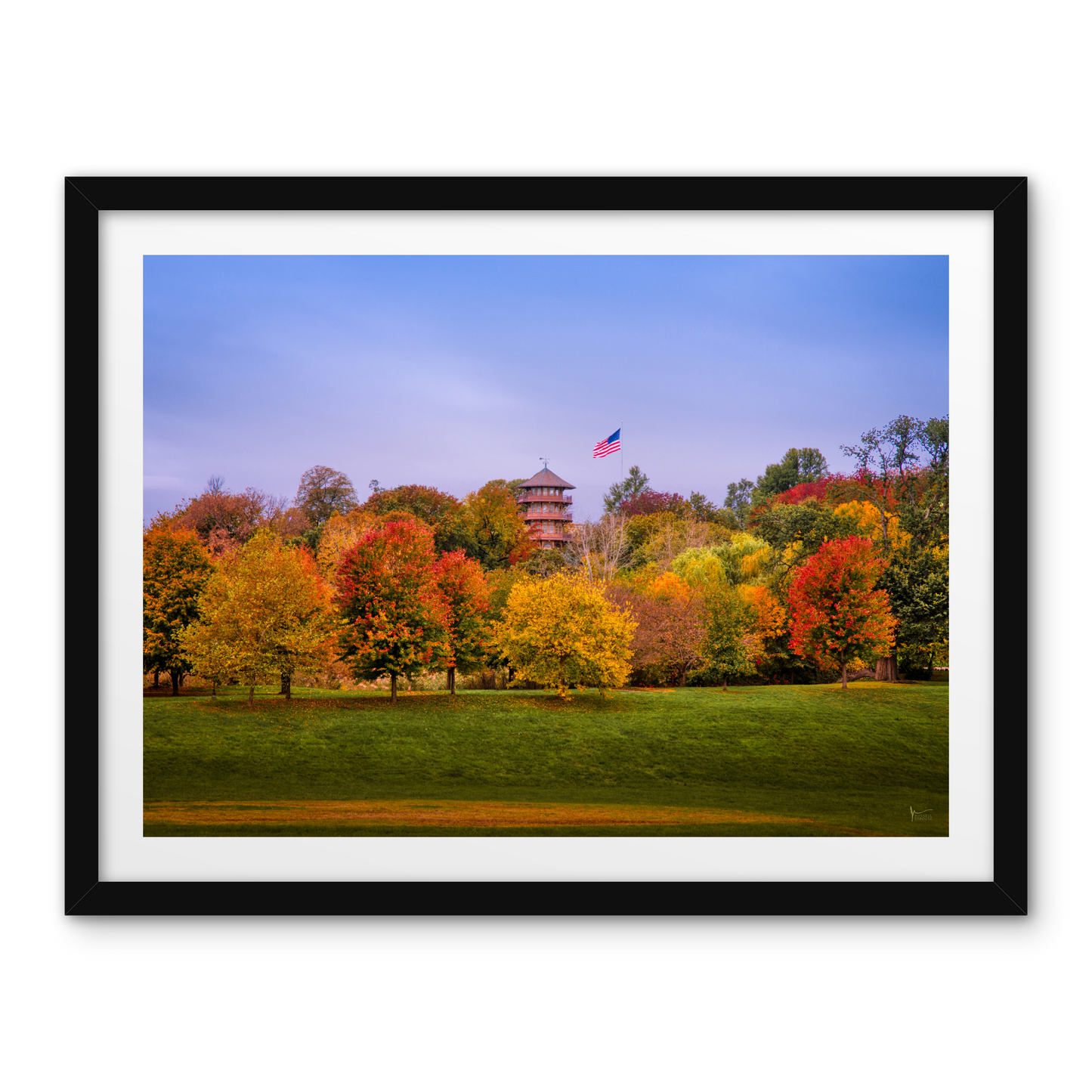 Patterson Park Fall Colors