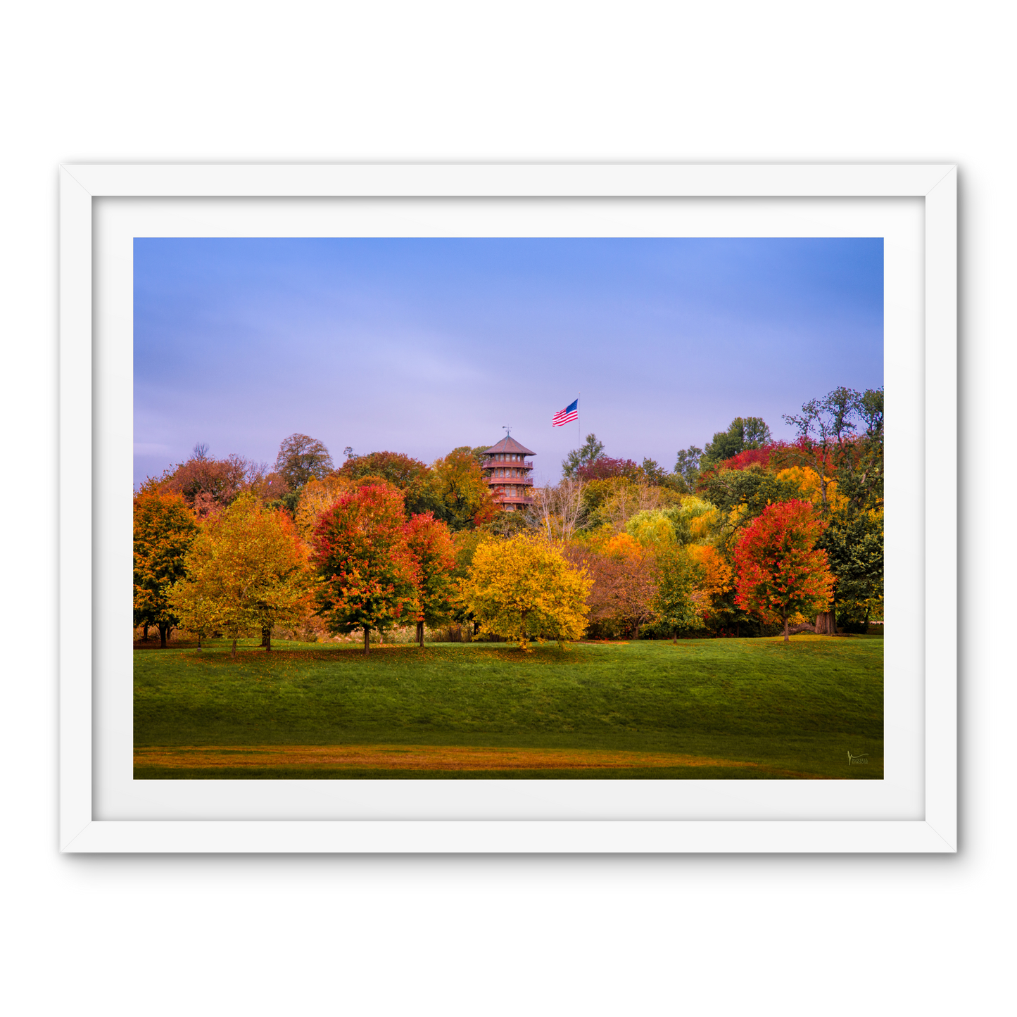 Patterson Park Fall Colors