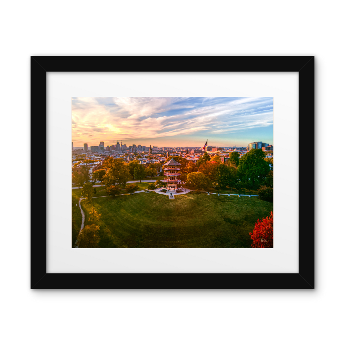 Patterson Park Skyline