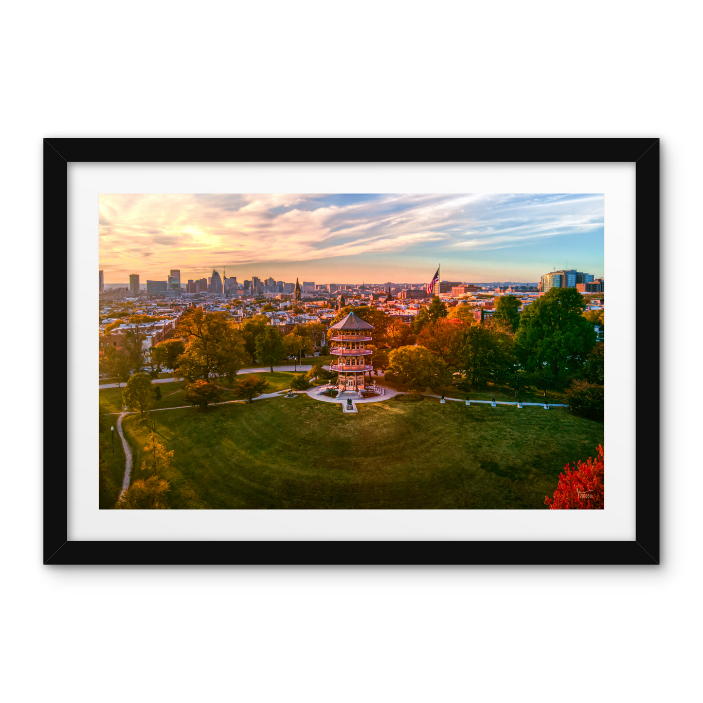 Patterson Park Skyline