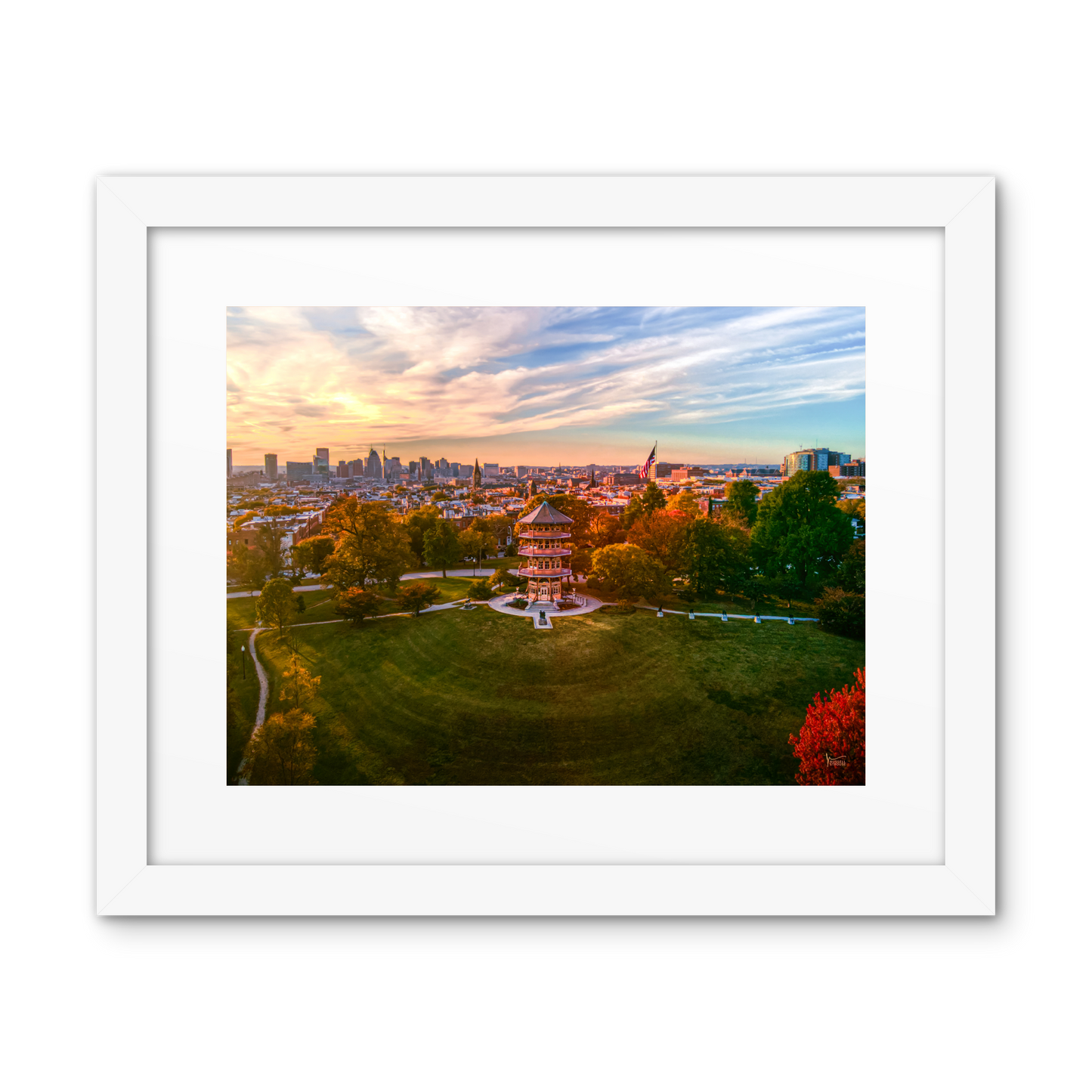 Patterson Park Skyline