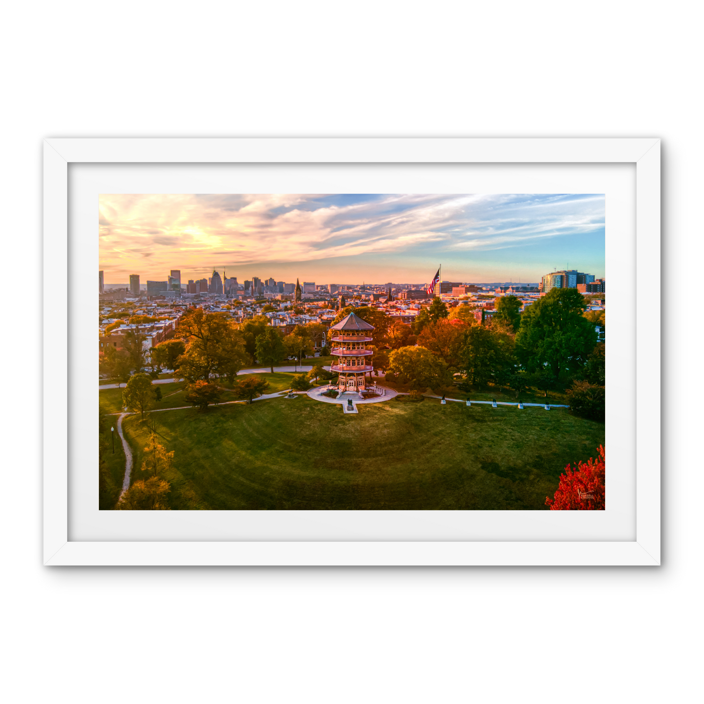 Patterson Park Skyline